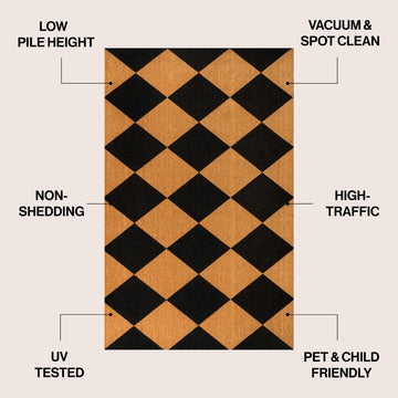 Paige Modern Classic Diamond-patterned Coir Area Rug
